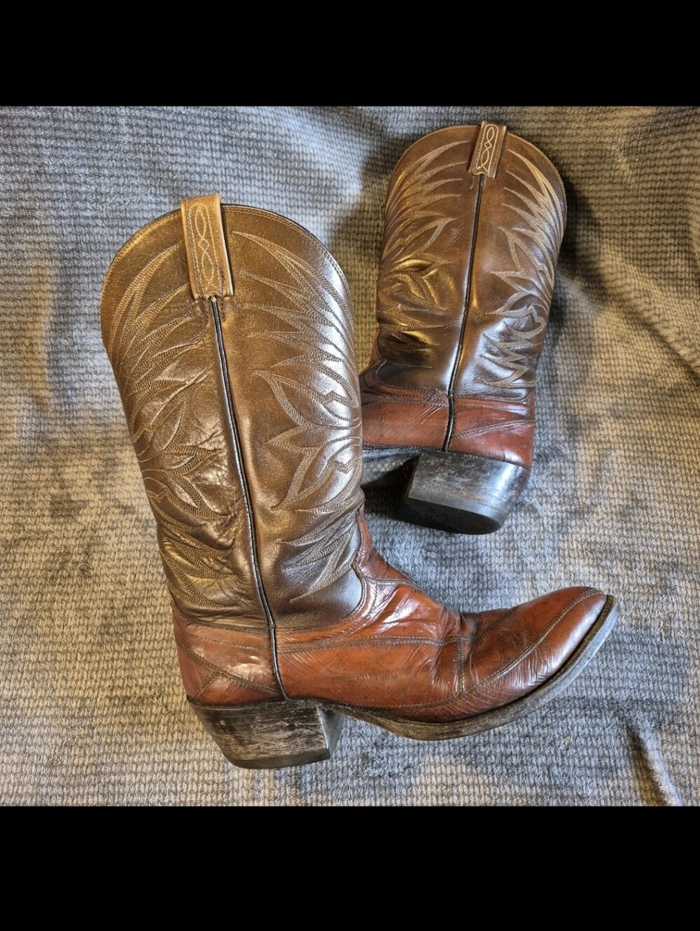 Dan Post Mens Animal Skin Western Boots 10D